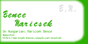 bence maricsek business card